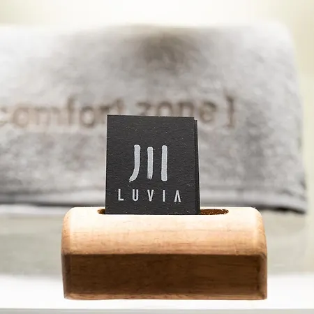 Luvia B&B 고네사